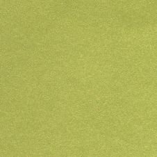 2013 Smart Fortwo Energy Green