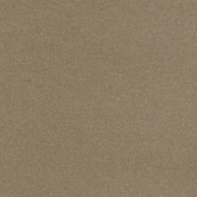 2015 Ford Focus Tectonic Metallic