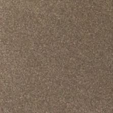 2018 Lincoln Navigator Chroma Molten Gold Metallic