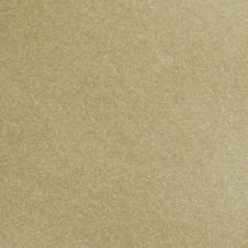 2010 Jaguar XF Winter Gold Metallic